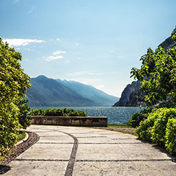 吾輩は猫である