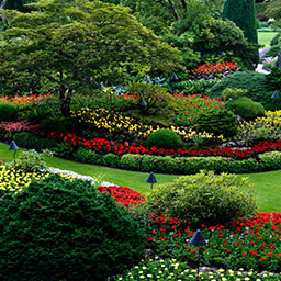 吾輩は猫である